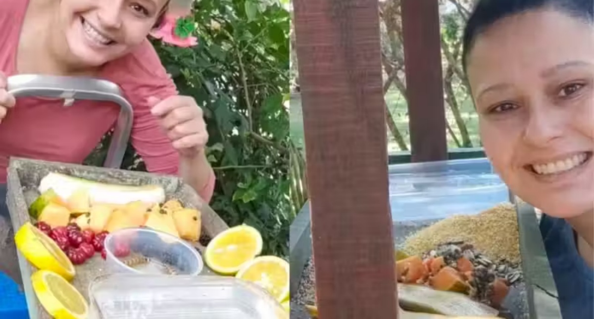 Estudante faz banquete para pássaros livres e multidão aparece para comer - News Rondônia