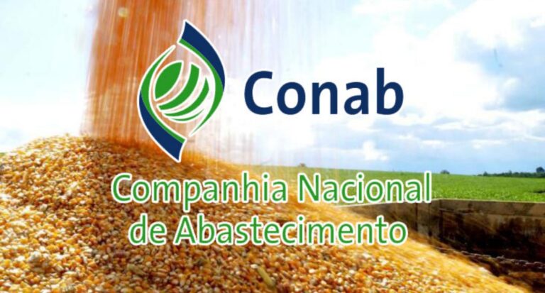 Conab aponta para uma produção de grãos em 299,8 milhões de toneladas