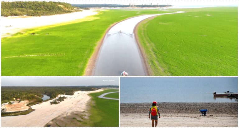 RIO NEGRO: curso d’água tem elevação de 9 centímetros em 1 dia - News Rondônia