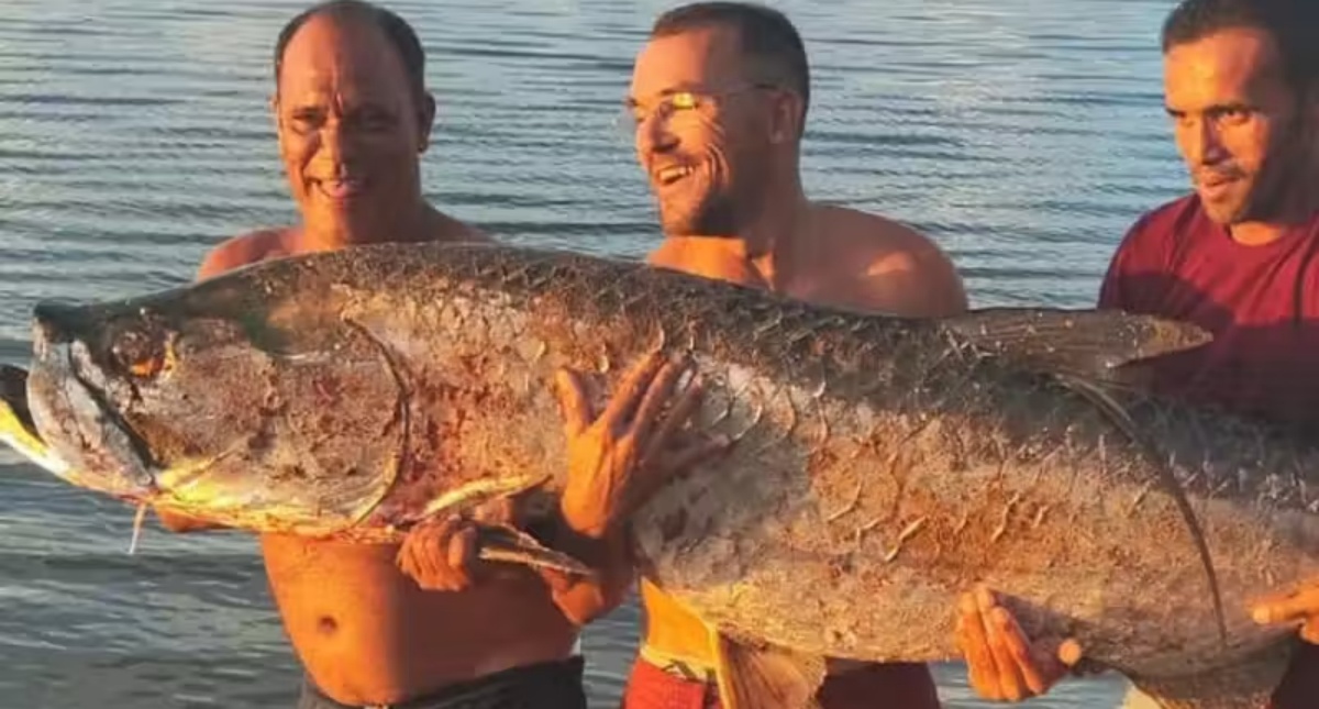 Homens pescam peixe de 60 kg e dão para a comunidade comer no RN - News Rondônia