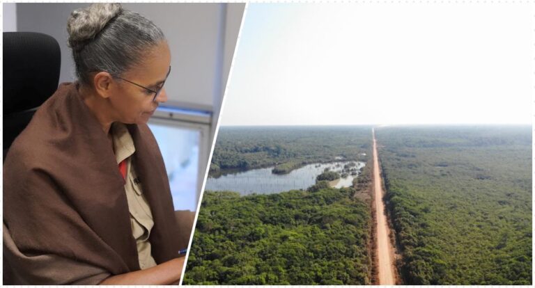 Senador acusa Marina Silva de impedir a reconstrução da BR-319 - News Rondônia