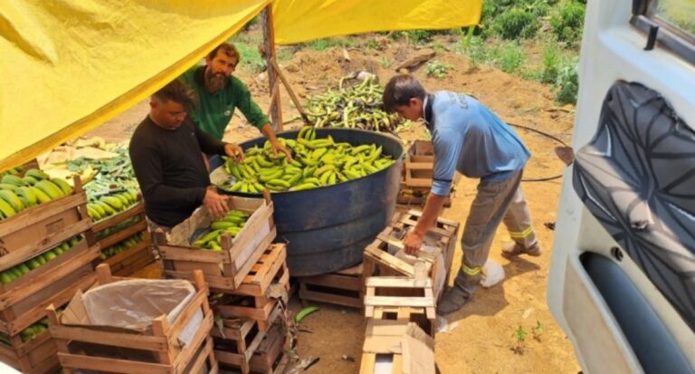 1º Encontro de Produtores Rurais de Porto Velho será no dia 8 de dezembro
