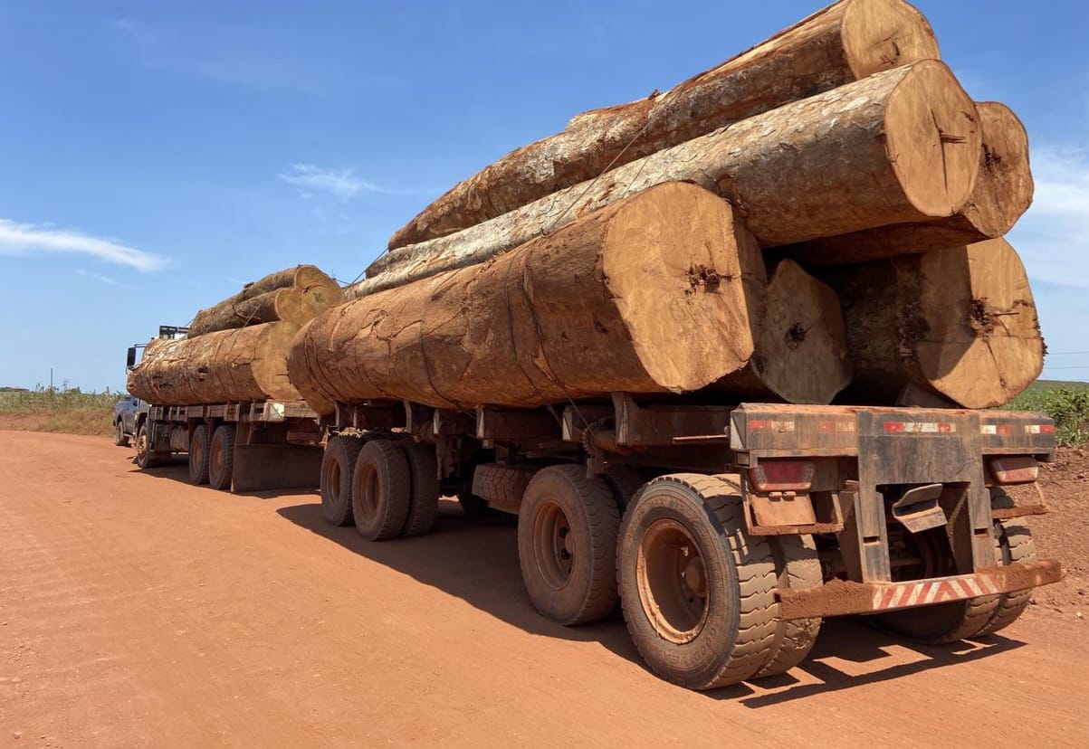 PF Rondônia apreende caminhão com madeira ilegal extraída de terra indígena - News Rondônia