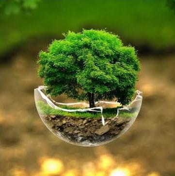 Requerimento da Licença Ambiental: EP ADMINISTRACAO & PARTICIPACAO S/A - News Rondônia