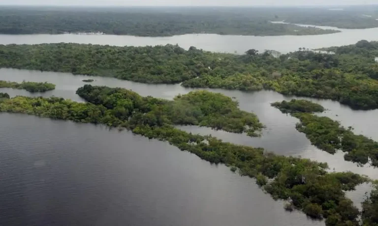 Projeto de lei vai facilitar regularização de terras na Amazônia