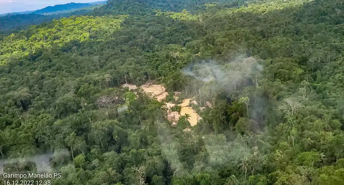 Retirada de invasores de TI do Pará tem prisão e apreensão de madeira