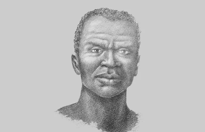 Dia Nacional da Consciência Negra: Reflexão e Reconhecimento - News Rondônia Dia Nacional da Consciência Negra: Reflexão e Reconhecimento - News Rondônia