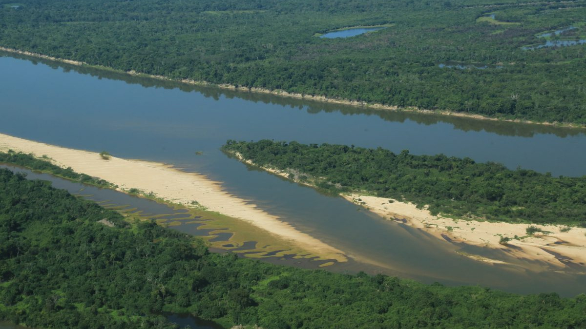 COP 28: Órgãos do Governo debatem recuperação da vegetação nativa e manejo florestal - News Rondônia