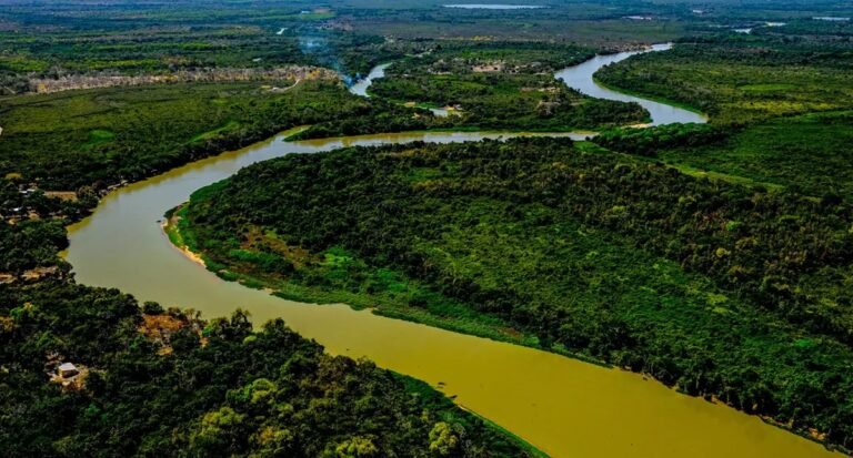Lei do Pantanal é sancionada para garantir conservação do bioma