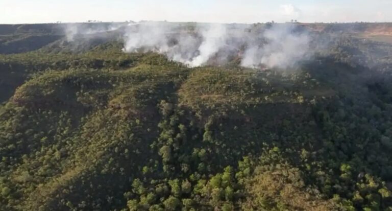 Incêndio atinge divisa do Santuário de Elefantes em Mato Grosso