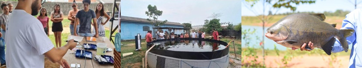 'Qualidade da água na criação de Tambaqui' foi discutido em Workshop, nos municípios de Ji-Paraná e Presidente Médici - News Rondônia