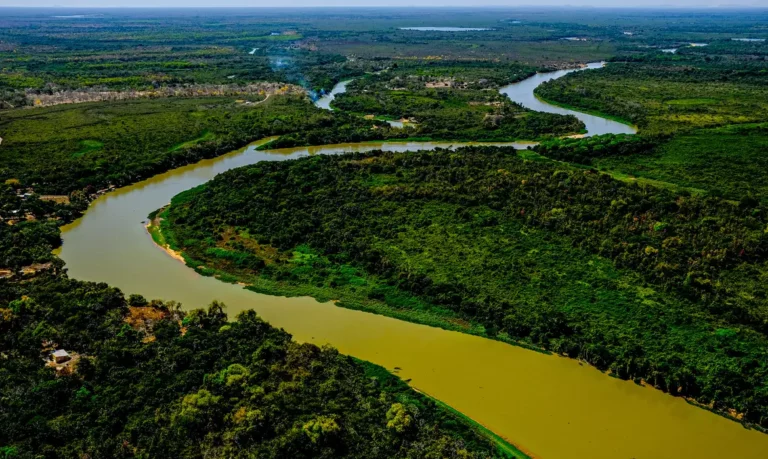 BNDES e Petrobras investem na conservação do Cerrado e do Pantanal