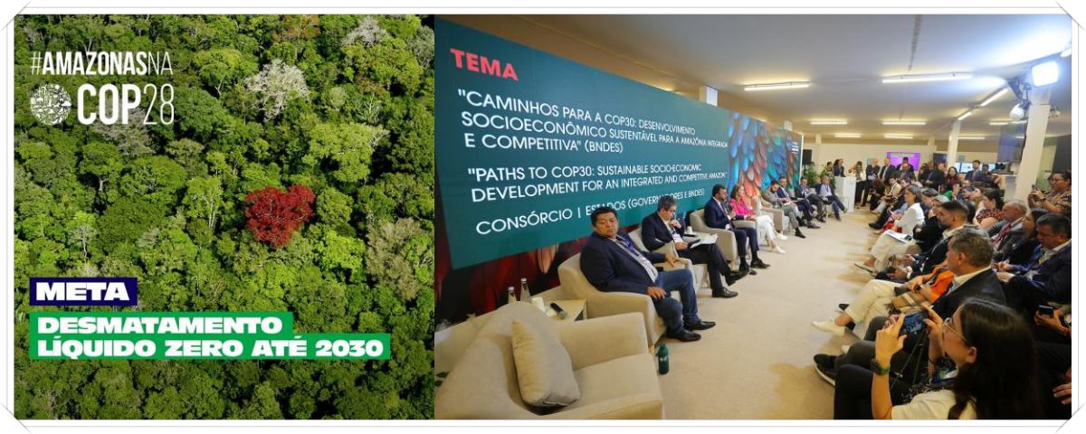 Na COP28, Wilson Lima muda discurso afirmando que o amazonas vai reduzir em zero o desmatamento - News Rondônia