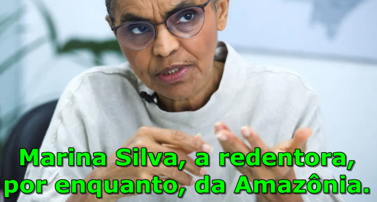Ministra Marina Silva - Nazareno