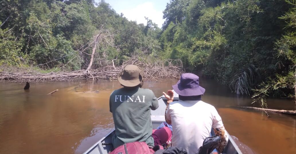 União de esforços para salvaguardar Terras Indígenas no Amazonas - News Rondônia