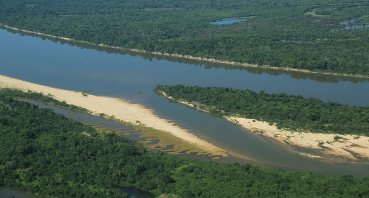 Programa que busca recuperar vegetação nativa e conservação dos ecossistemas é apresentado na Conferência