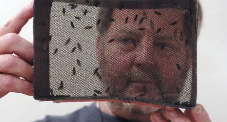 Butantan anuncia teste pré-clínico de vacina contra Zika em 2024