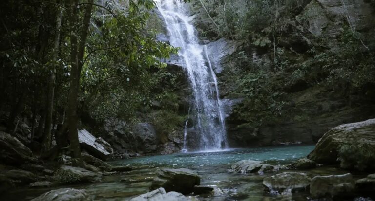 Governo relança Quilombo das Américas com foco ambiental