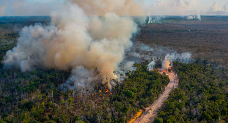 DICAPRIO: 'El Niño e fazendas ilegais se combinaram para criar incêndios na Amazônia' - News Rondônia