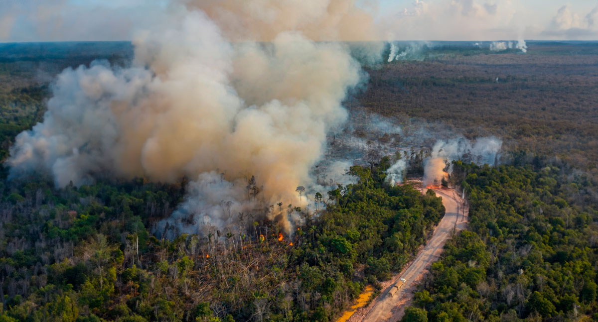 DICAPRIO: 'El Niño e fazendas ilegais se combinaram para criar incêndios na Amazônia' - News Rondônia