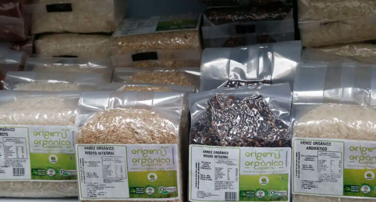 Vendas de produtos orgânicos no país crescem 30%, aponta pesquisa - News Rondônia