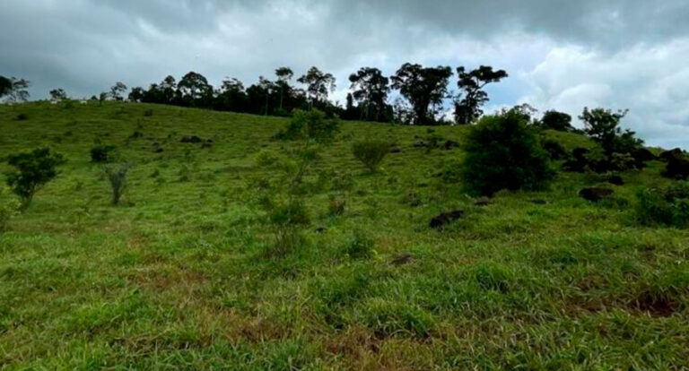 Emissão de Licença Ambiental para exploração de ouro e cobre em Novo Horizonte d'Oeste é concretizada - News Rondônia