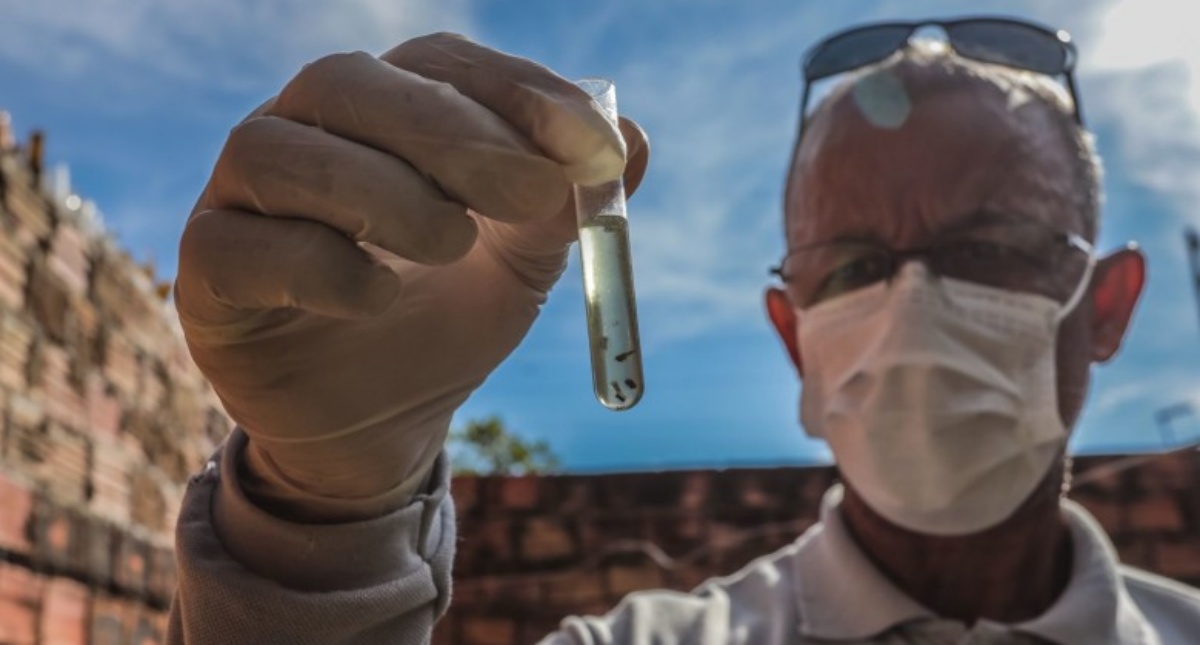 Cuidados contra a dengue devem ser redobrados durante período chuvoso