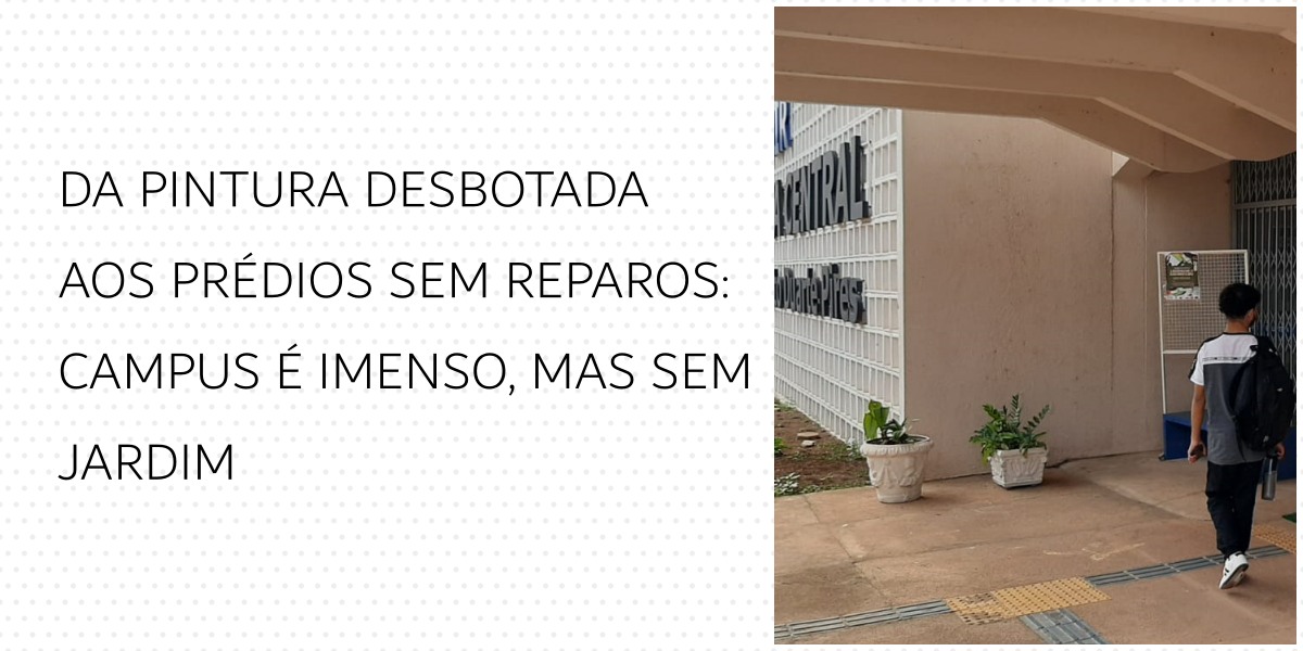 NOVAS REITORAS: UNIR aposta nas mulheres para tirar universidade do abandono - News Rondônia