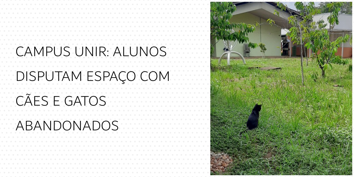 NOVAS REITORAS: UNIR aposta nas mulheres para tirar universidade do abandono - News Rondônia