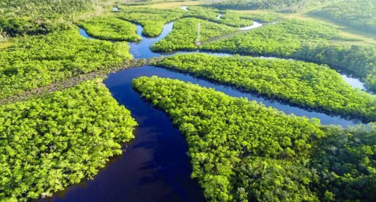 Inscrições para edital Amazônia Resiliente vão até dia 31 de janeiro
