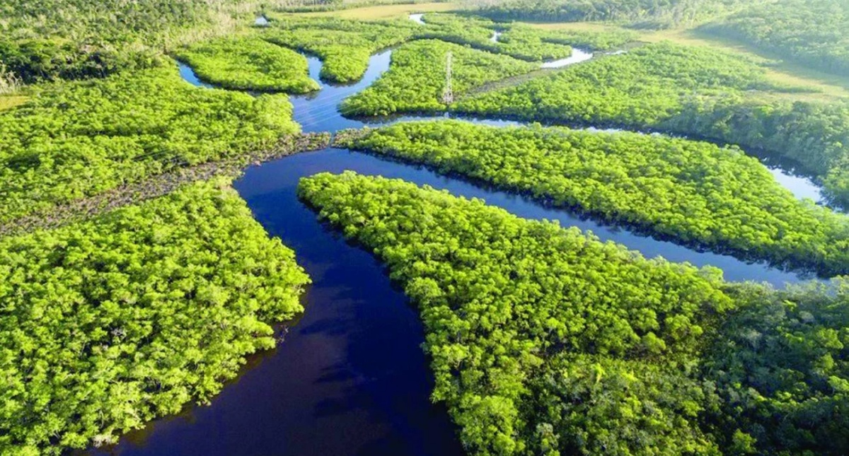 Inscrições para edital Amazônia Resiliente vão até dia 31 de janeiro