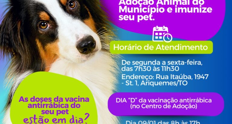 Centro de Adoção de animais de Ariquemes oferta vacinação antirrábica