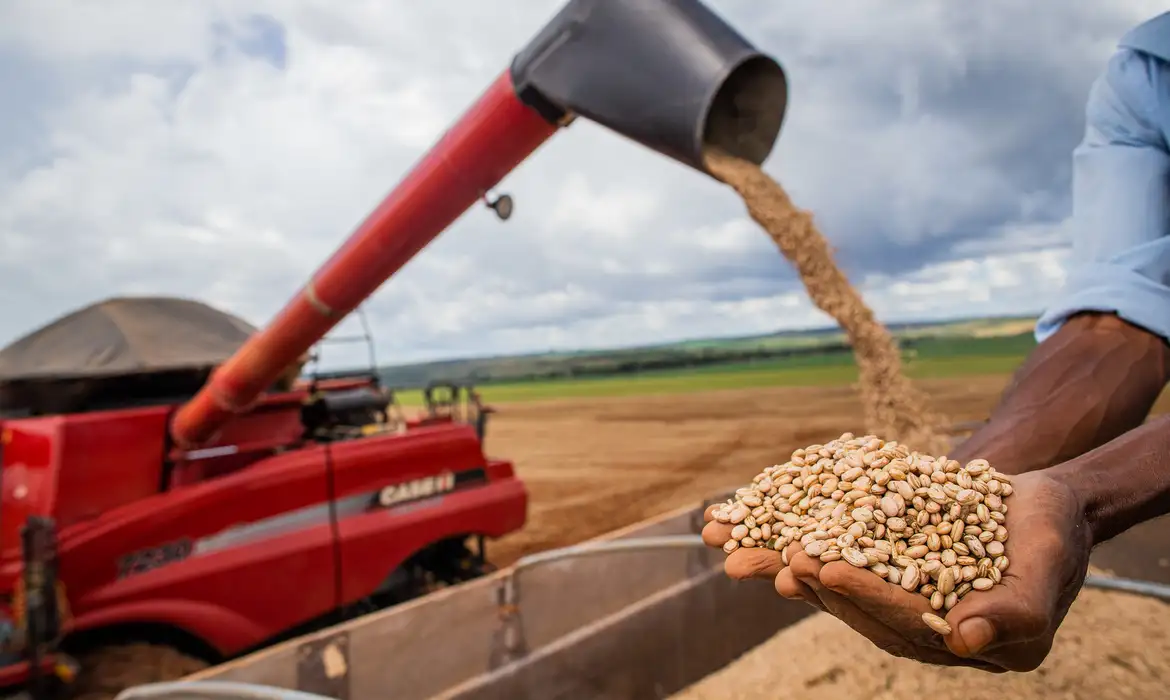 Conab: produção de grãos deve atingir 312 milhões de toneladas