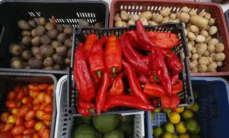 Vendas de produtos orgânicos no país crescem 30%, aponta pesquisa - News Rondônia Vendas de produtos orgânicos no país crescem 30%, aponta pesquisa - News Rondônia