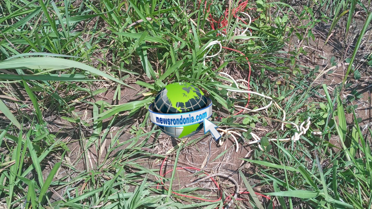 Boliviano é encontrado amarrado e morto em área de mata em RO - News Rondônia