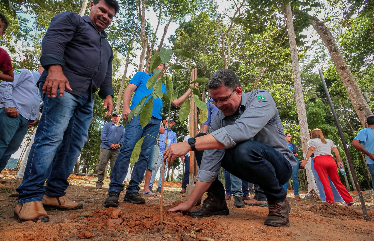 Desmatamento em Rondônia cai 64% na gestão do Governador Marcos Rocha