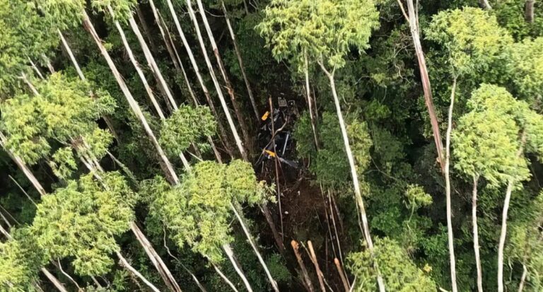 Vítimas de queda de helicóptero são retiradas de local do acidente