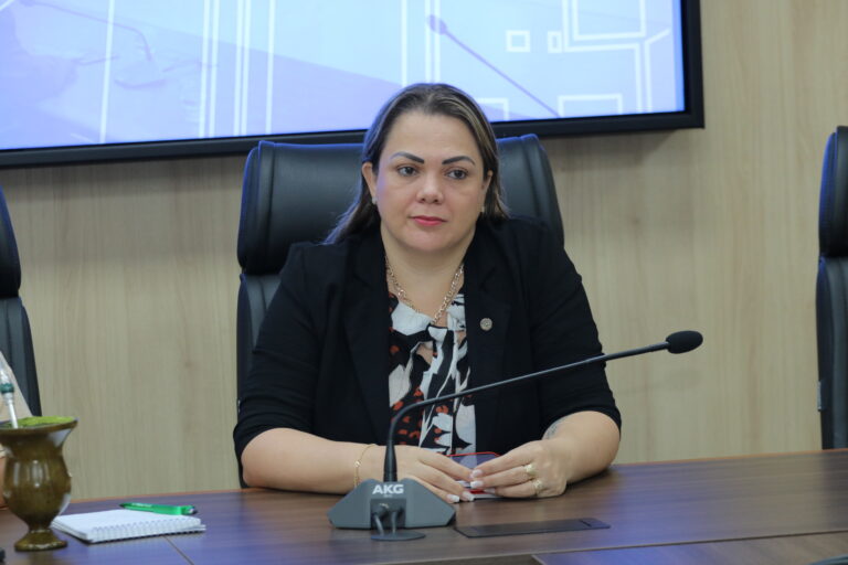 Cláudia de Jesus solicita reparos na ponte entre Ji-Paraná, Presidente Médici e Teixeirópolis