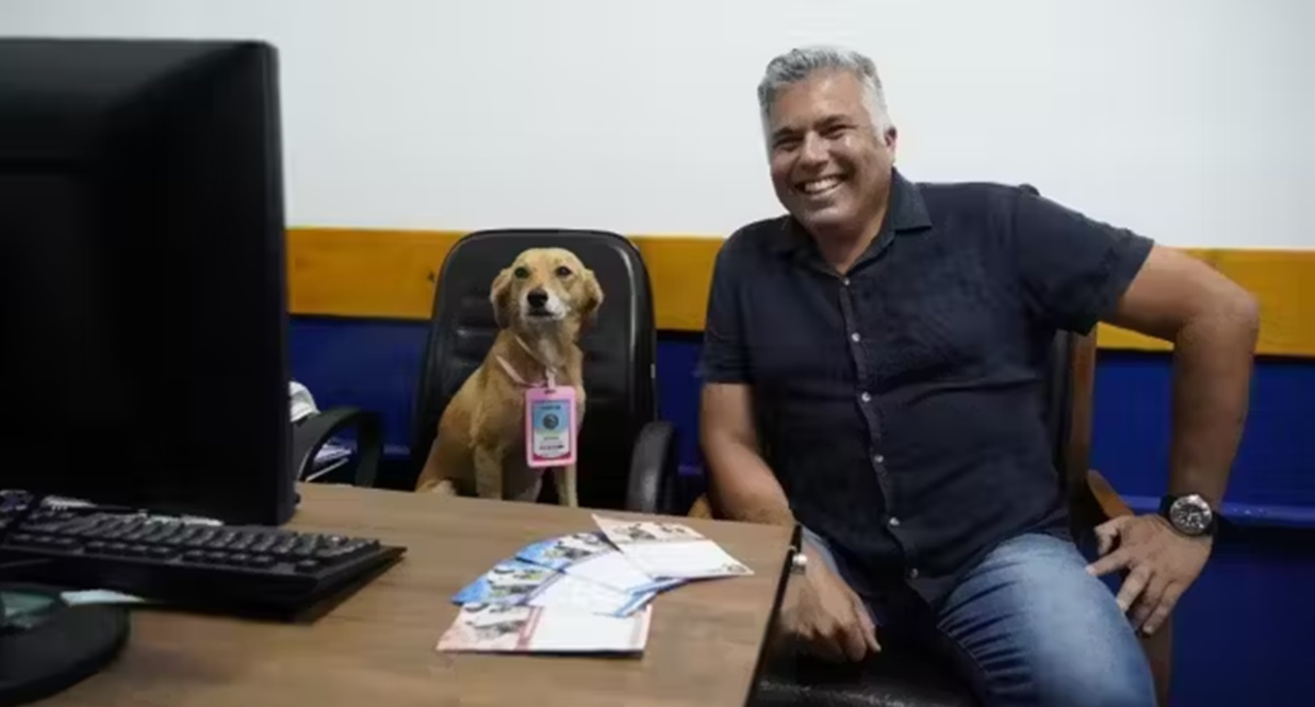 4 Cachorros adotados viram funcionários da Prefeitura do Guarujá