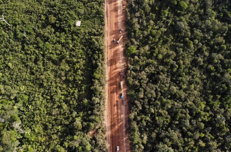 Deputado Cássio Gois destaca importância de audiência pública sobre a BR-319/AM/RO
