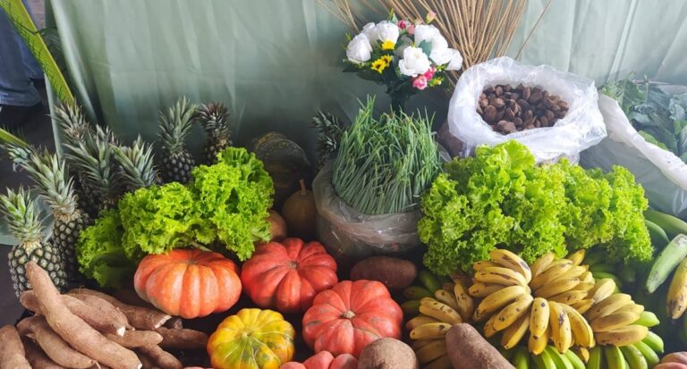 Programa de Aquisição de Alimentos Federal vai contemplar mais de mil produtores rurais em Rondônia