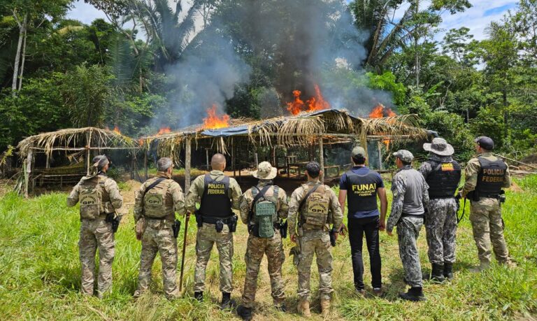 TAPUNHAS: Polícia Federal, FUNAI e Força Nacional realizam operação em terra indígena invadida