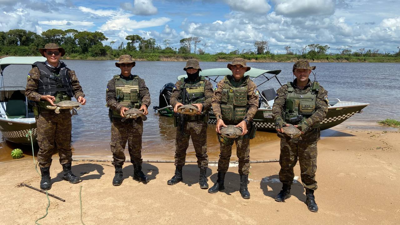 Polícia Militar apreende tracajás, redes e armas em operação ambiental no Rio Guaporé