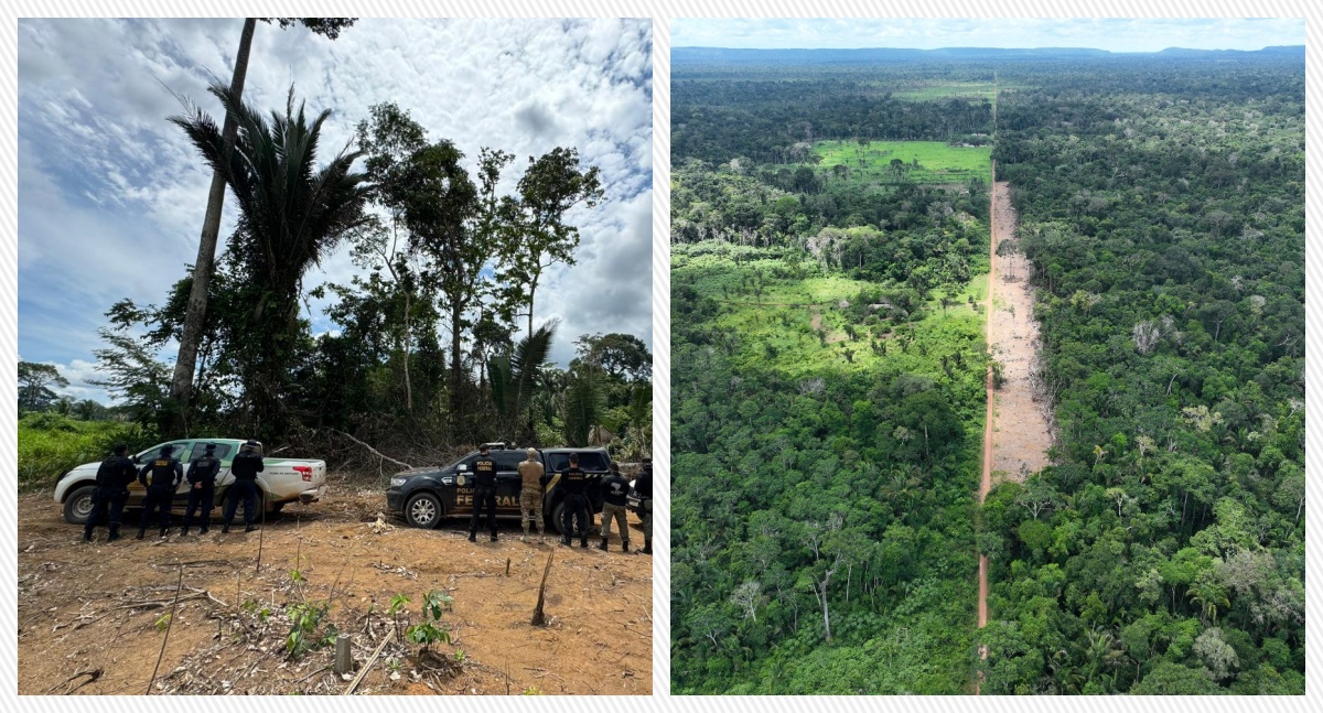 Polícia Federal de Rondônia realiza ação de combate a crimes ambientais em reserva extrativista