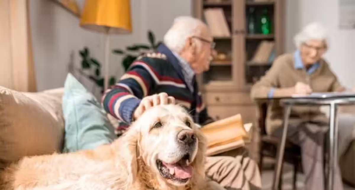 Pets podem retardar avanço da demência em idosos que moram sozinhos