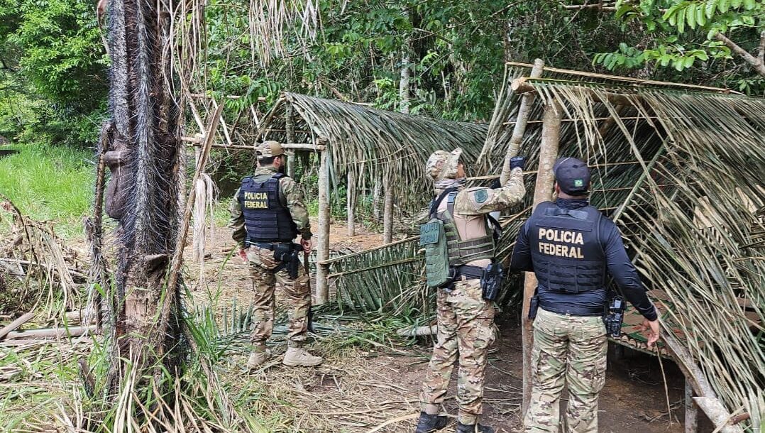 TAPUNHAS: Polícia Federal, FUNAI e Força Nacional realizam operação em terra indígena invadida