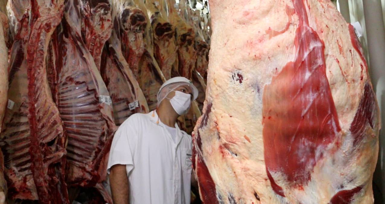Rondônia se consolida em 1º lugar da região Norte na exportação de carne bovina e investe em incentivos para o setor