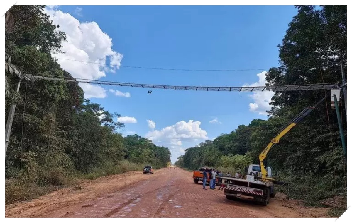 Fundo amazônia não pode ser usado na reconstrução da BR-319 - News Rondônia