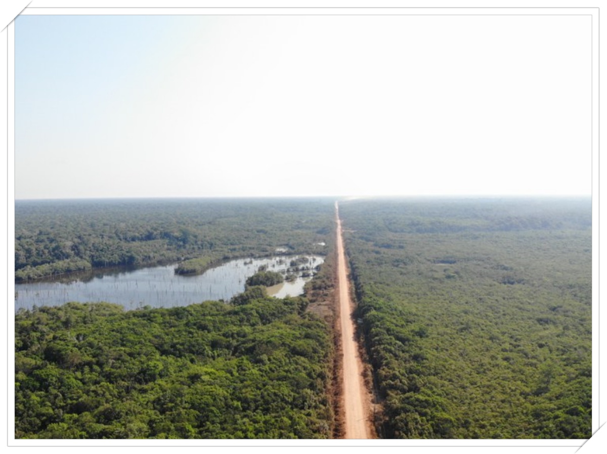 BR-319: antes de acontecer, reconstrução já evidencia os crimes contra a floresta amazônica - News Rondônia