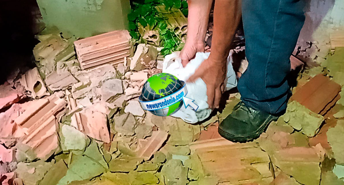 URGENTE: Crânio Humano Encontrado Dentro de Construção Abandonada na Zona Leste